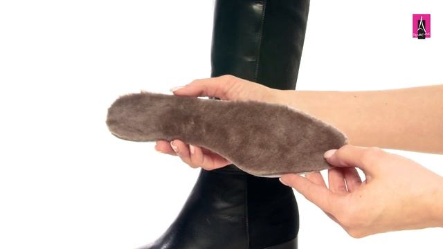 3246601 Видеообзор I Женские сапоги GIOVANNI FABIANI смотреть онлайн