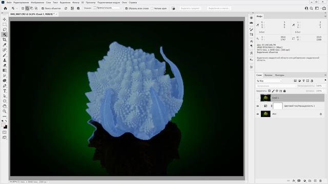 Ретушь предметной фотографии (капуста романеско) смотреть онлайн