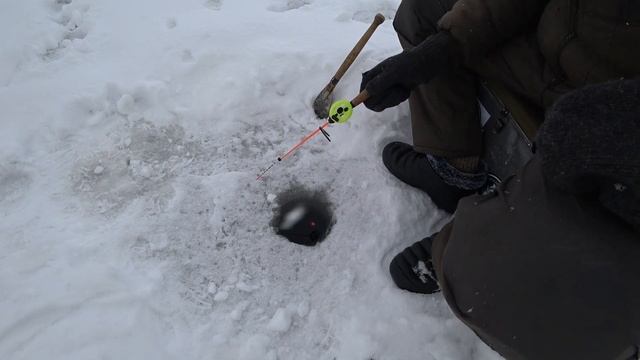 СОРОГА! КЛЁВ СО ДНА И ВЫШЕ! РАЗМЕР ПРИЯТНО УДИВИЛ! ЗИМНЯЯ РЫБАЛКА В МАРТЕ! СЕЗОН 2021! смотреть онлайн