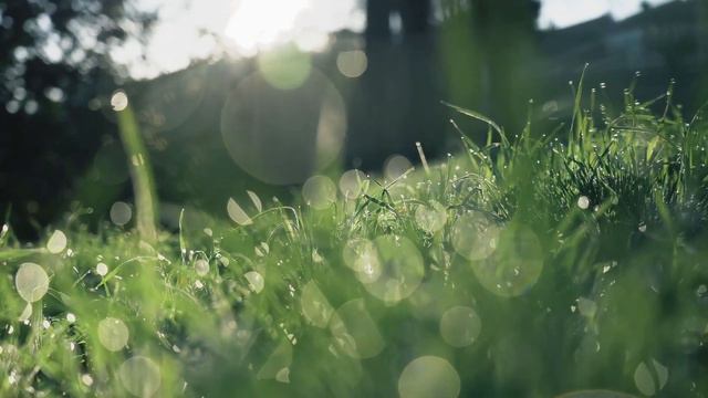 Chanson de Matin-Edward Elgar(Op. 15, No. 2) - 아침의 노래 смотреть онлайн