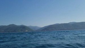 Рыбалка Аше Лазаревское Сочи