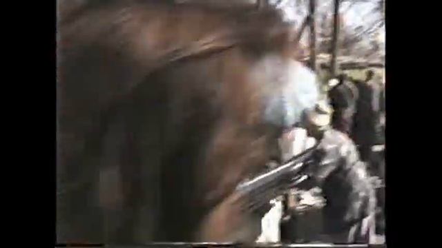 Эй, мистер! Тезиковка 96 Эпизод 1 смотреть онлайн