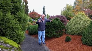 November Garden Checklist at Iseli Nursery