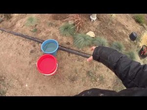 Что делать в декабре в саду/Поливаю/Сажаю/Укрываю