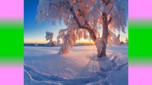 Благодатный исцеляющий колокольный звон
