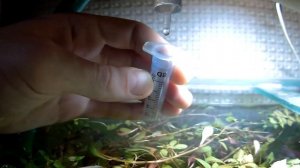 КАК ТАКОЕ МОГЛО СЛУЧИТСЯ??? СКОЛЬКО КАПЕЛЬ В МИЛЛИЛИТРЕ???