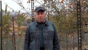 @Заготовка черенков винограда. Сроки заготовки