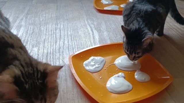 Первый раз пробуем простоквашу, ну очень интересно! смотреть онлайн