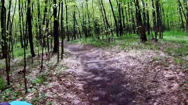 Саратов. Природный парк "Кумысная поляна". 2 часть. смотреть онлайн