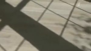 Паркетная доска Parquet Life Дуб Опал