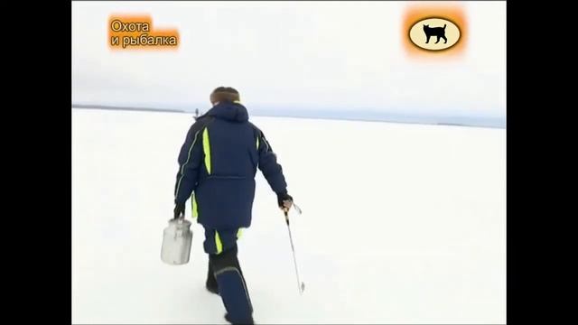 Ловля щуки зимой, рыбалка на зимние жерлицы смотреть онлайн