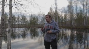 Легендарная змея. Гадюка обыкновенная