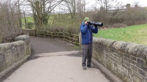 Bird Photography with Sigma 150-600mm and Nikon D7500