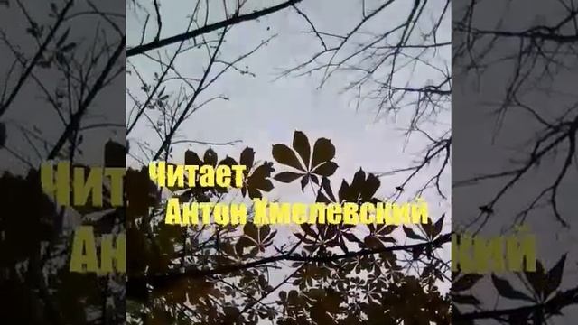 Любить иных тяжёлый крест. Борис Пастернак смотреть онлайн