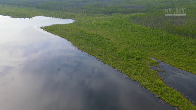 Тайга Якутия на р. Вилюй. Relax video смотреть онлайн
