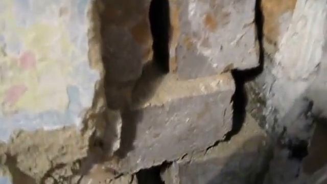 MVI 0206 смотреть онлайн