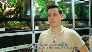 Французский язык для начинающих - диалоги. Домашние животные.