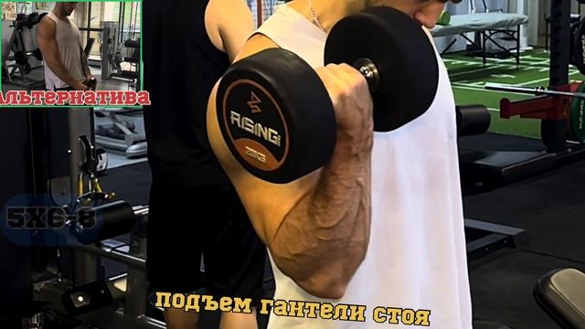 Рабочая схема,которая накачает Руки(Бицепс и Трицепс)! Тяжелые веса & малоповторка!