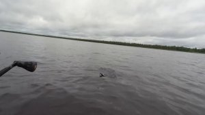 Видеообзор воблера TsuYoki Blef 65F по заказу Fmagazin