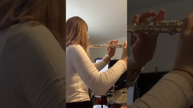 D1 Vortragsstück 1 Flute Air смотреть онлайн