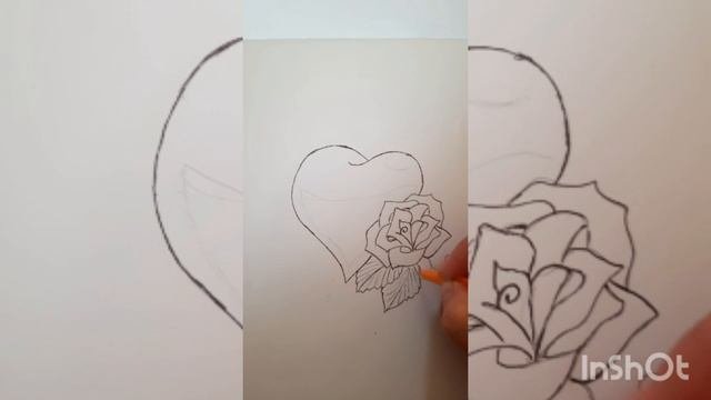 сердце