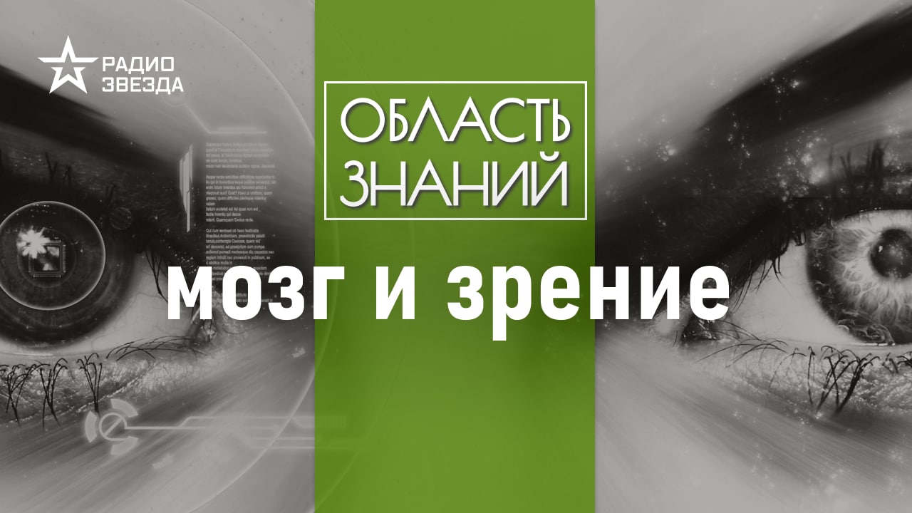 Как способности человеческого глаза повлияли на изобретение кинематографа.