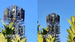 Xiaomi 12 vs Xiaomi 12 Pro Camera Test | 50MP cameras + different sensors = same result?