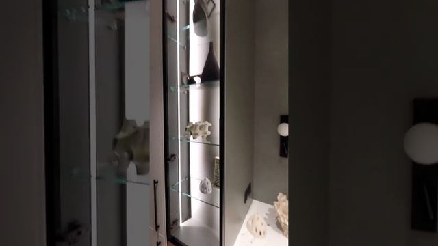 Видеообзор кухни в ЖК Смольный Парк Петербург. смотреть онлайн