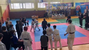 Чемпионат каратэ зеленый пояс