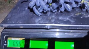 Кишмиш "Аватар". Вот какой урожай получился на трёхлетнем кустике!