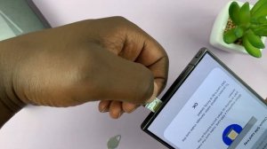 Does the Samsung Galaxy S24 / S24 Ultra Have SD Card Option?