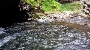 Голубая лагуна