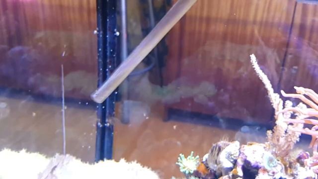 МОЙ #МОРСКОЙ #АКВАРИУМ НА 240 литров своими руками смотреть онлайн