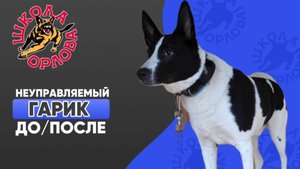 Возможно ли перевоспитать злостного хулигана?