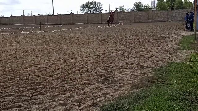 3 октября 2022 г. лошадь понесла на соревнованиях. смотреть онлайн