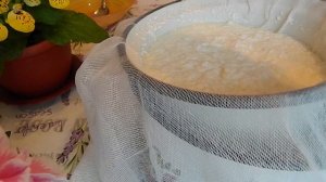 СЫР АДЫГЕЙСКИЙ СВОИМИ РУКАМИ