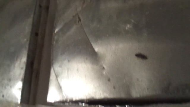 Пчёлы ( Что делать? Клуб пчёл собрался сверху гнезда-№1 ) смотреть онлайн