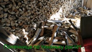 Убрал дрова под навес.