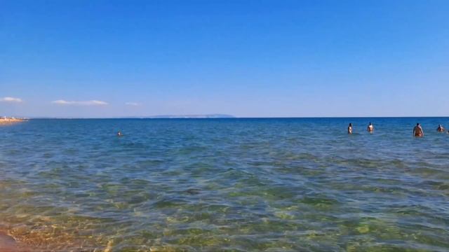 ДЕЛЬФИНЫ приплывают каждый час. ДИКИЙ пляж у погранзаставы Благовещенской(Анапа) Как добратся, + и смотреть онлайн