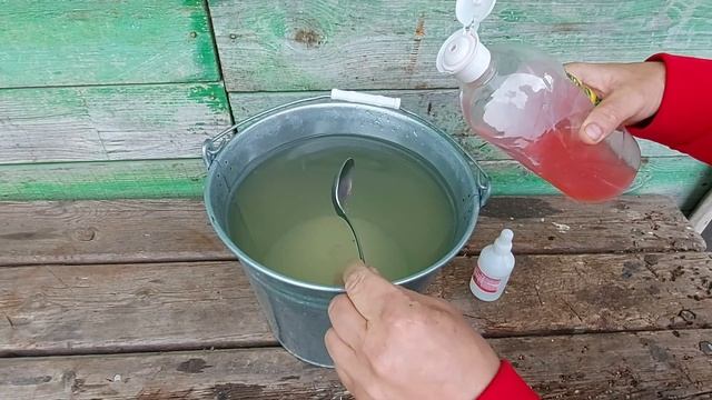 Как избавиться от тли подручными средствами.
