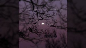 Dan Balan - Лишь до утра [slowed+reverb]