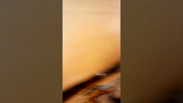 28 ноября 2017 г. смотреть онлайн