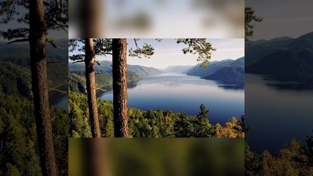 11 ЯНВАРЯ - ДЕНЬ ЗАПОВЕДНИКОВ И НАЦИОНАЛЬНЫХ ПАРКОВ