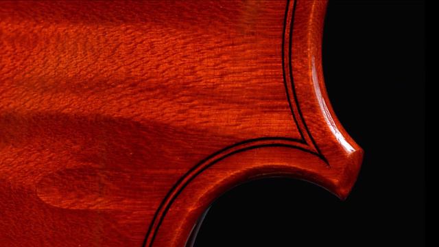 Davide Sora - Violino Victa 2014 смотреть онлайн