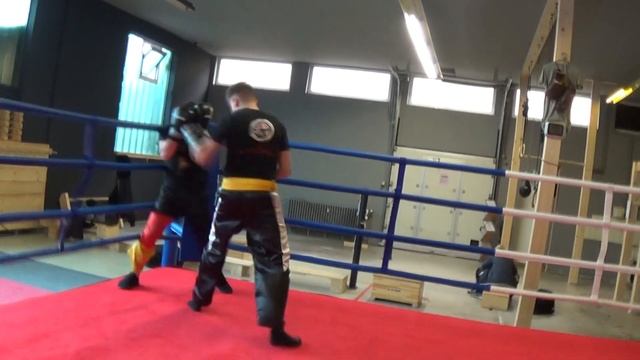 Gurtelprufung 2019 Kickboxing Sambo-Combat Koblenz 22 смотреть онлайн