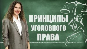 Принципы уголовного права