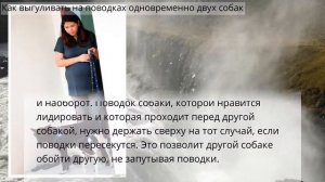 Как выгуливать на поводках одновременно двух собак - И чтобы они друг с другом не погрызлись