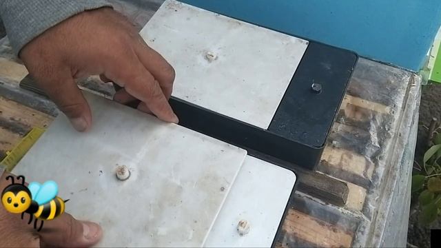 Красный молотый перец Черный молотый перец Сахар Подкормка или Закормка Пчёл?