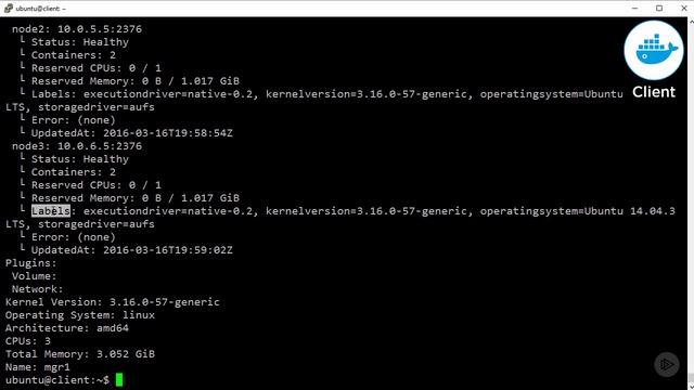 Native Docker Clustering - Standard Constraints смотреть онлайн