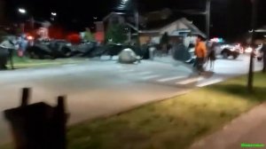 Морской слон вышел на улицы города и посеял панику!